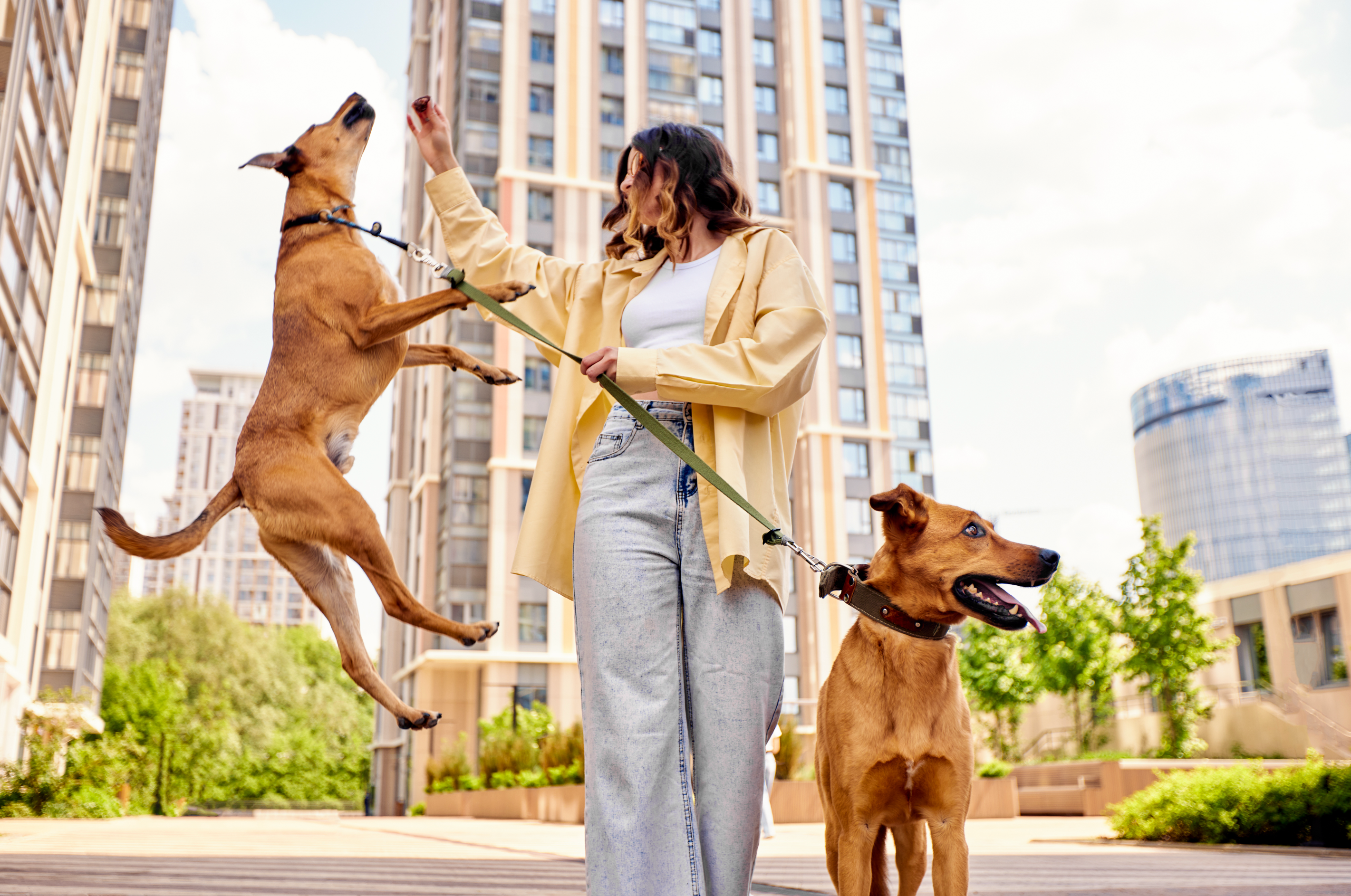 Dogs and Allergies